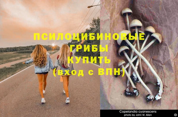 бутират Новодвинск