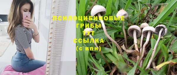 a pvp Алексеевка